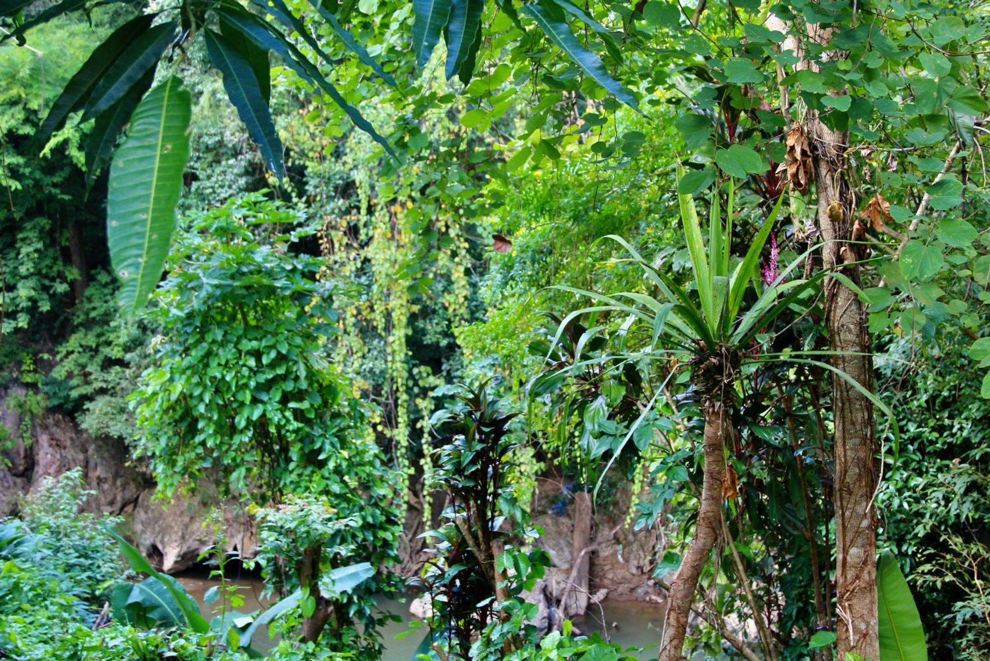 Aerie Lodge Pang Mapha Exterior foto